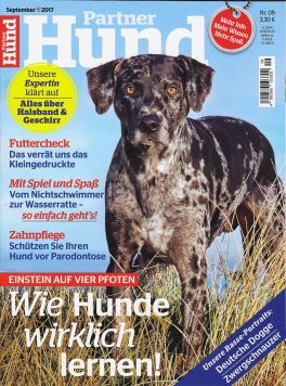 Wie Hunde wirklich lernen