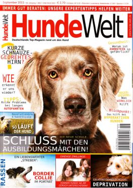 Wie lernen Hunde?