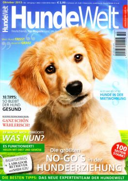 No-Gos in der Hundeerziehung